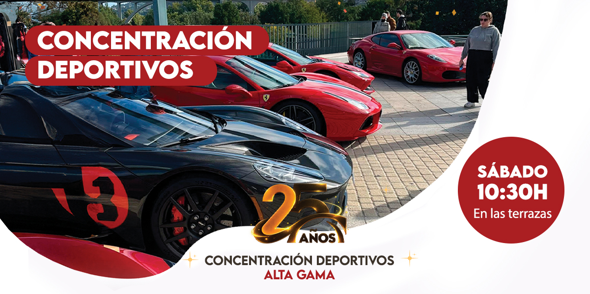 Coches Alta Gama