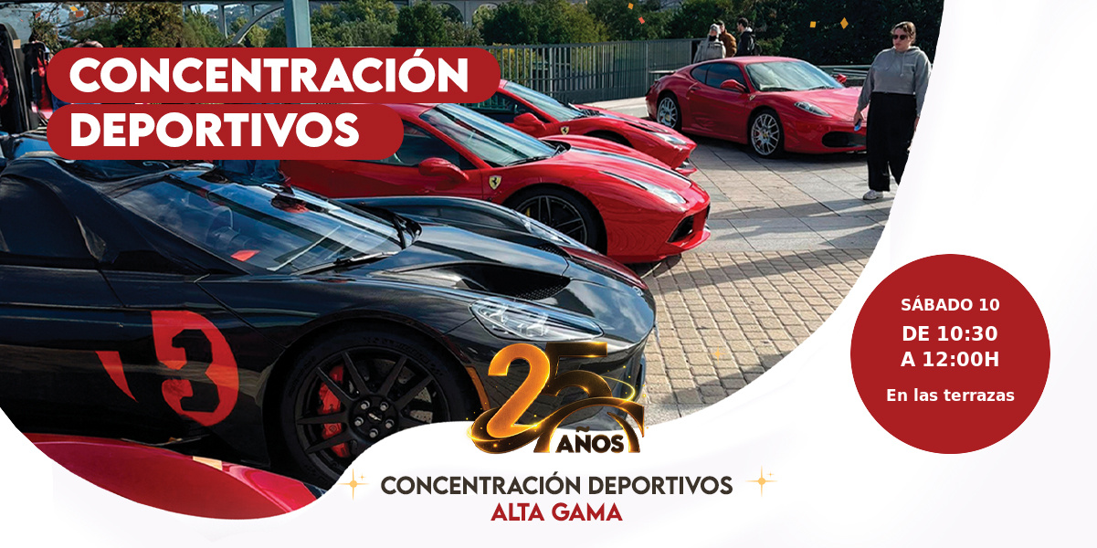 Coches Alta Gama